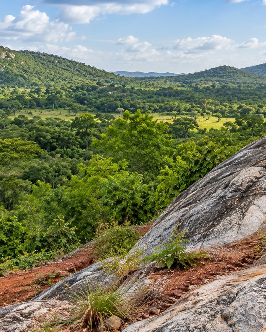 Kissidougou Lithium Project